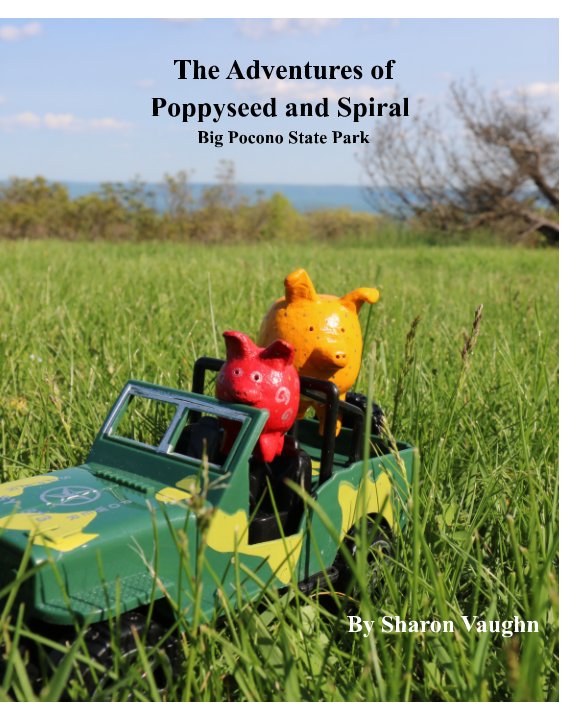 View The Adventures of Poppyseed and Spiral by Sharon Vaughn