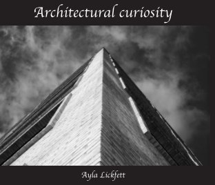 Architectural curiosity book cover