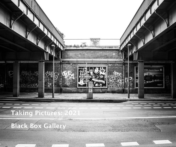 Taking Pictures: 2021 nach Black Box Gallery anzeigen