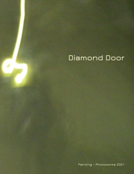 Diamond Door book cover