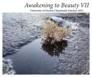 Awakening to Beauty VII book cover