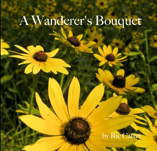 View A Wanderer's Bouquet by Ric Carter