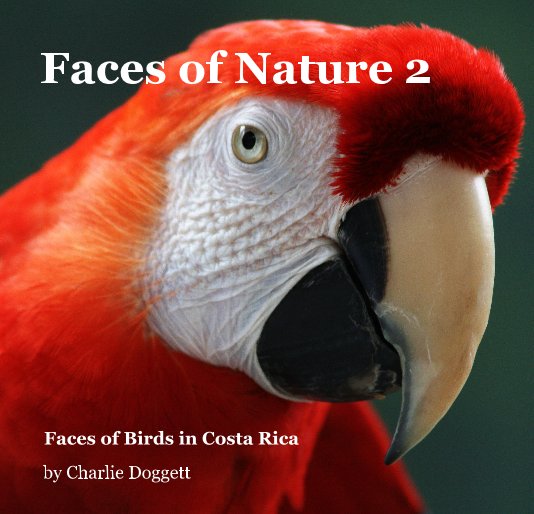 View Faces of Nature 2 by Charlie Doggett