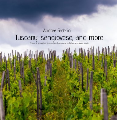 Tuscany: sangiovese and more book cover
