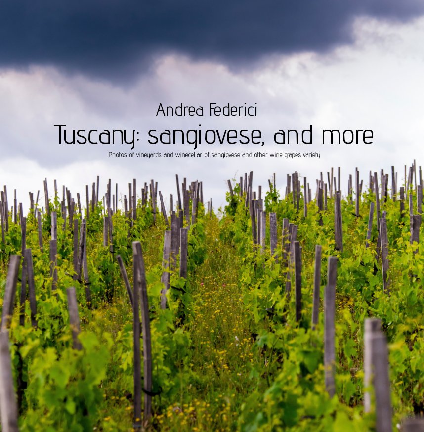 View Tuscany: sangiovese and more by Andrea Federici