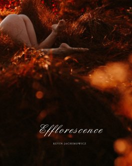 Efflorescence book cover
