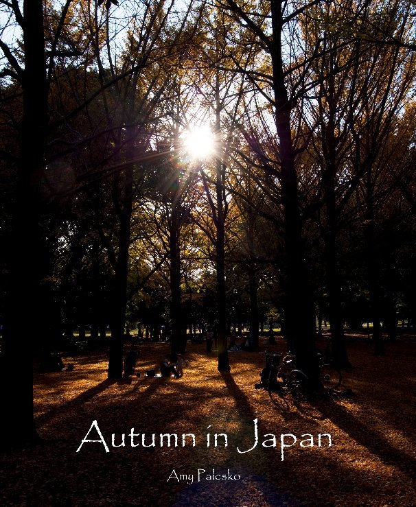 View Autumn in Japan by Amy Palesko