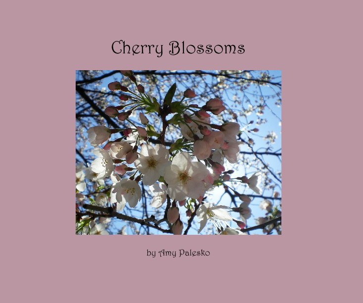 Ver Cherry Blossoms por Amy Palesko