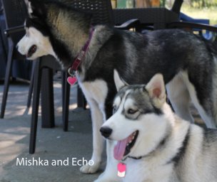 Mishka and Echo book cover