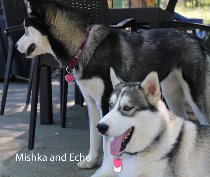 View Mishka and Echo by Kylie Colvin