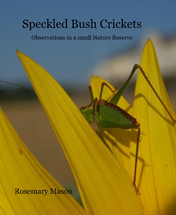 Ver Speckled Bush Crickets Observations in a small Nature Reserve por Rosemary Mason