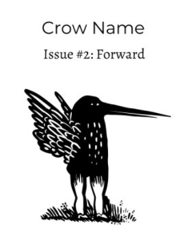 Crow Name Issue 2 book cover