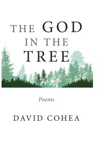 The God In The Tree book cover