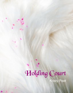 Holding Court book cover