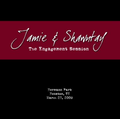 Jamie and Shawntay book cover