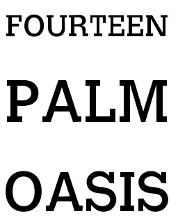 Fourteen Palm Oasis book cover