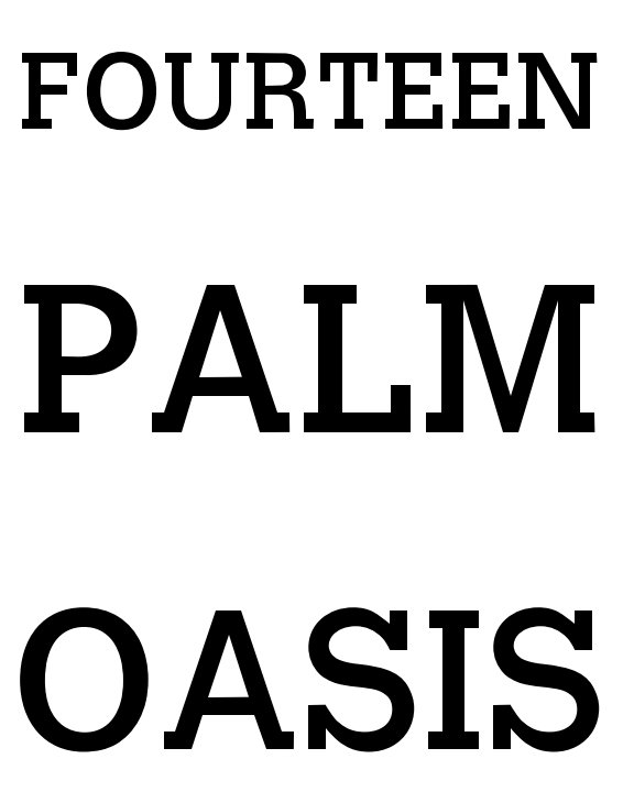 View Fourteen Palm Oasis by Stefan Frutiger