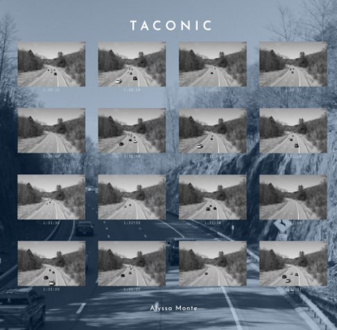 View Taconic (softcover) by Alyssa Monte