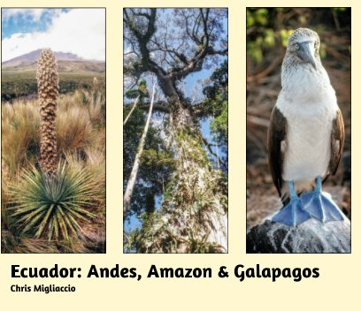 Ecuador: Andes, Amazon and Galapagos book cover