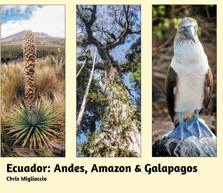 View Ecuador: Andes, Amazon and Galapagos by Chris Migliaccio