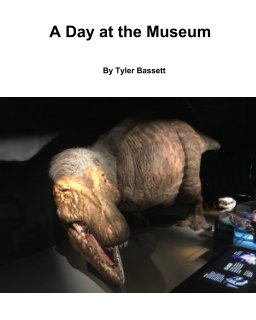 Museum book book cover