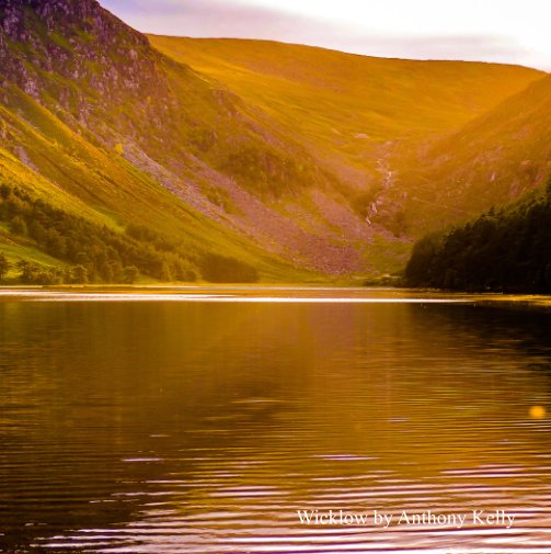 Visualizza Wicklow di Anthony Kelly