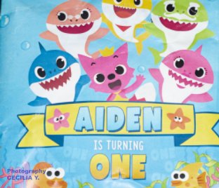 Aiden Turns 1 book cover