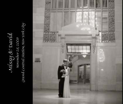 Missy & David November 28, 2009 Grand Central Station, New York City book cover