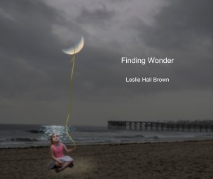 Finding Wonder book cover
