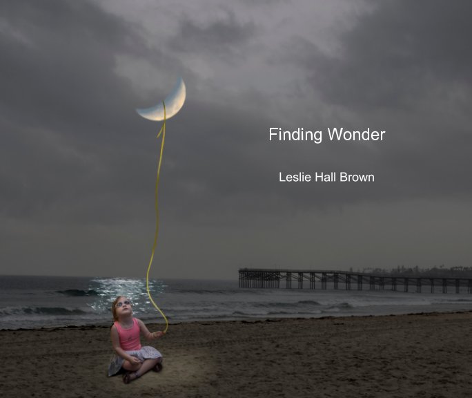 View Finding Wonder by Leslie Hall Brown