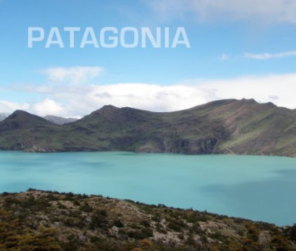 Patagonia 2008 book cover