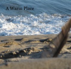 A Warm Place book cover
