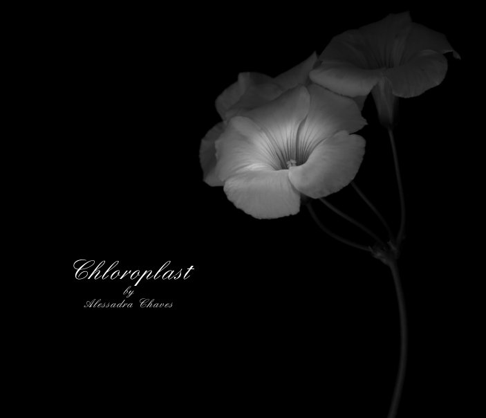 View Chloroplast by Alessandra Chaves
