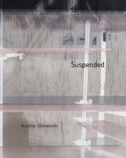 Suspended . . . book cover