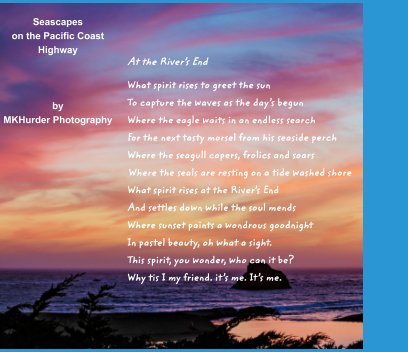 Seascapes of the PCH book cover