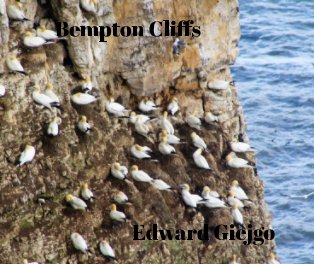 Bempton Cliffs book cover
