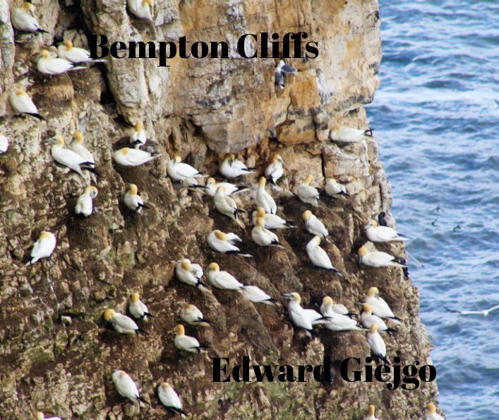 Visualizza Bempton Cliffs di Edward Giejgo