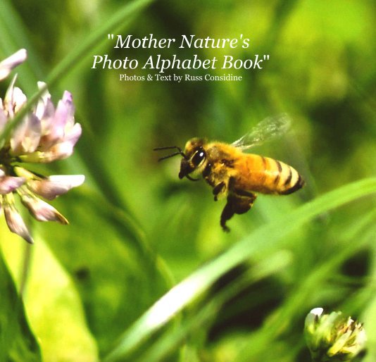 View "Mother Nature's Photo Alphabet Book" Photos and Text by Russ Considine by Russel Alan Considine