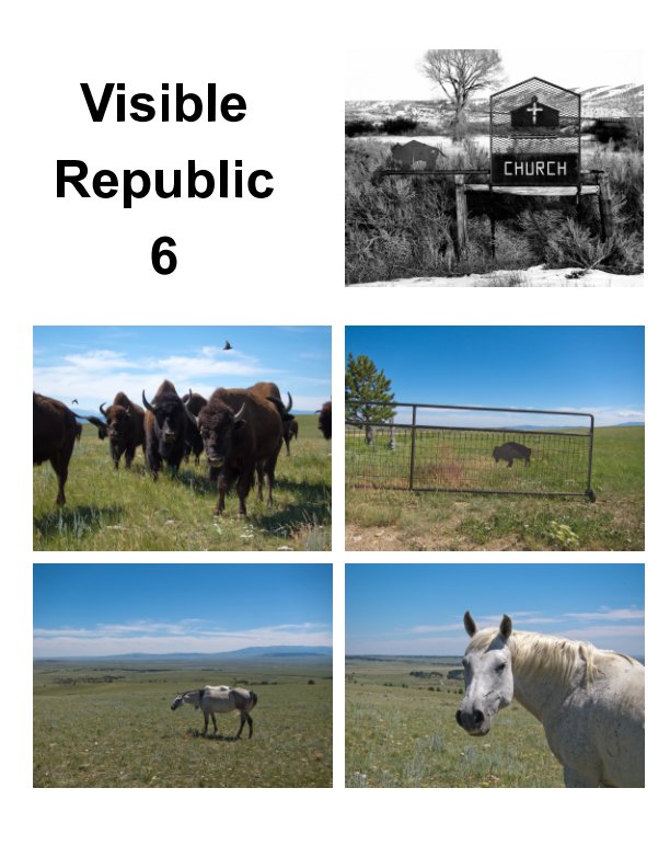 View Visible Republic 6 by Joe Gioia