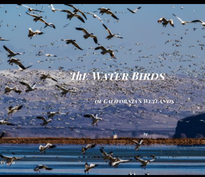 Water Birds book cover