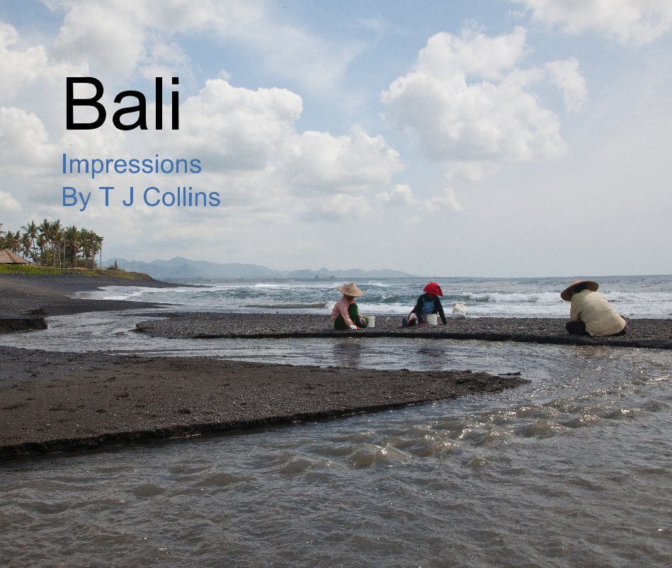 View Bali Impressions By T J Collins by Trevor Collins