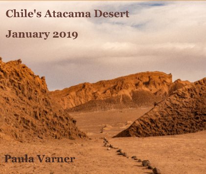Chile's Atacama Desert January 2019 book cover