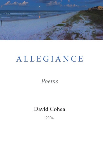 View Allegiance by David Cohea