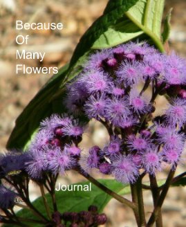 Because Of Many Flowers book cover