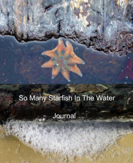 So Many Starfish In The Water book cover