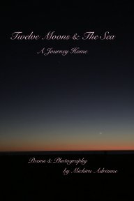 Twelve Moons And The Sea book cover