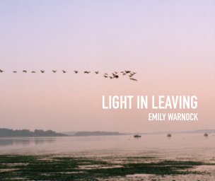 Light in Leaving book cover