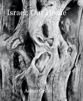 Israel: Our Home book cover