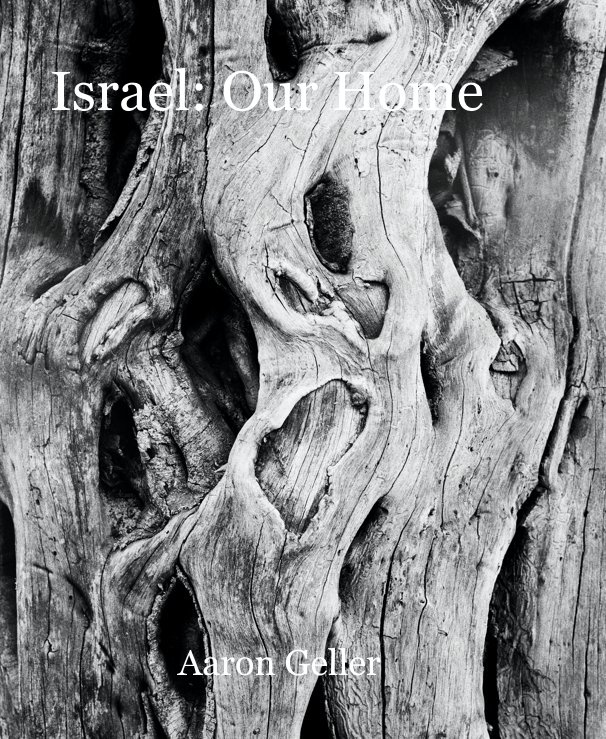 View Israel: Our Home by Aaron Geller