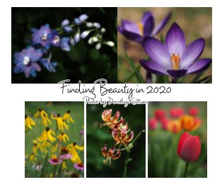 Finding beauty in 2020 book cover